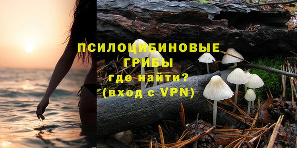 дмт Армянск