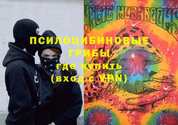 шишки Алексин