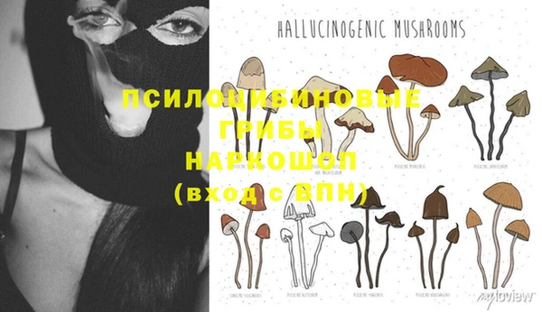 a pvp Арсеньев