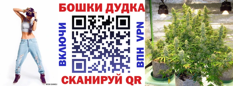 купить наркотики цена  kraken как войти  Конопля тримм  Бабаево 